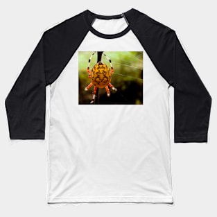 Yellow Orb Spider Baseball T-Shirt